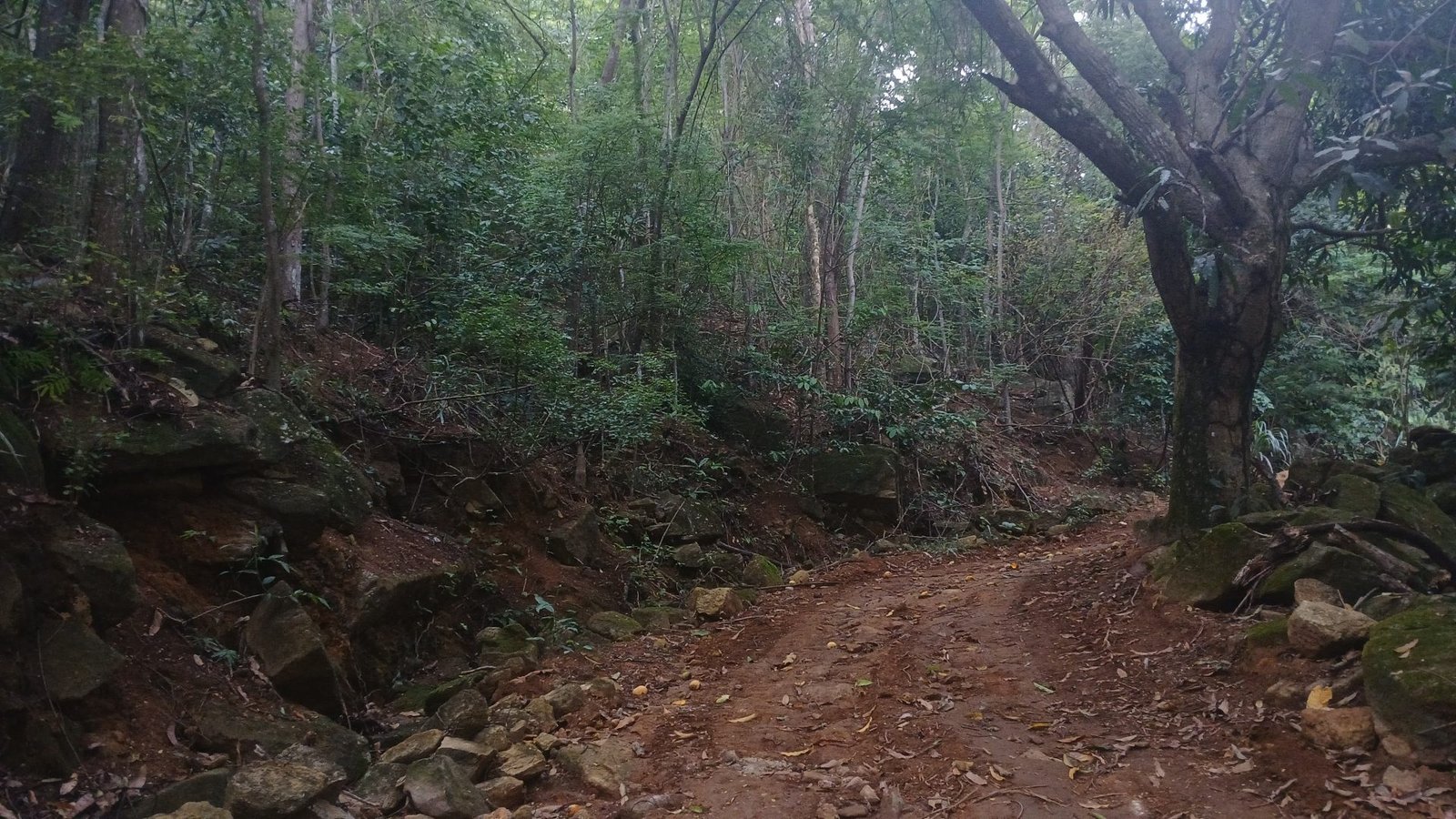 Foto da galeria de Pancas